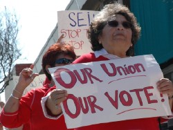 Eileen's article 2
